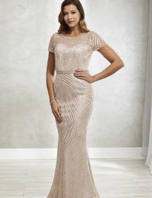 Mother of the bride dress - 73721