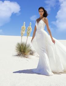 Exquiste Bride in the desert modeling wedding dress