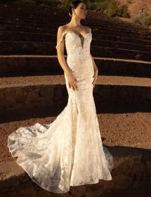 Wedding Dress-SKU 62654